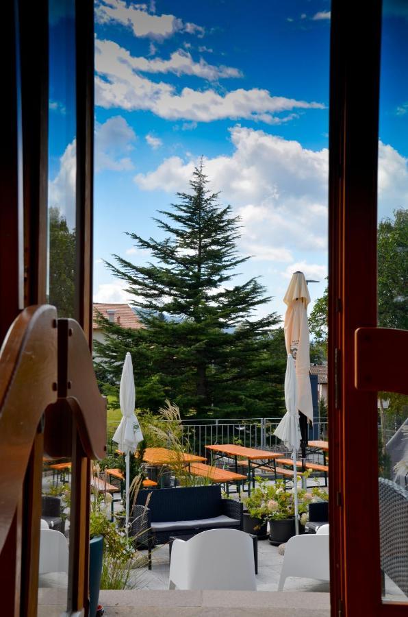 Hotel Villa Argentina رونزون المظهر الخارجي الصورة